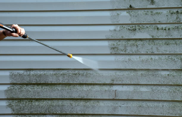 Best Certified Mold Removal  in Anchorage, AK